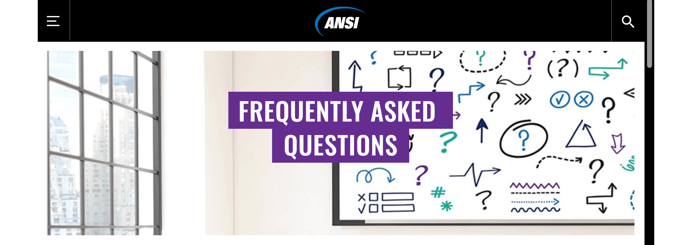 ANSI FAQ page