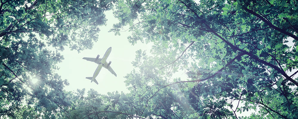 Plane flying over trees