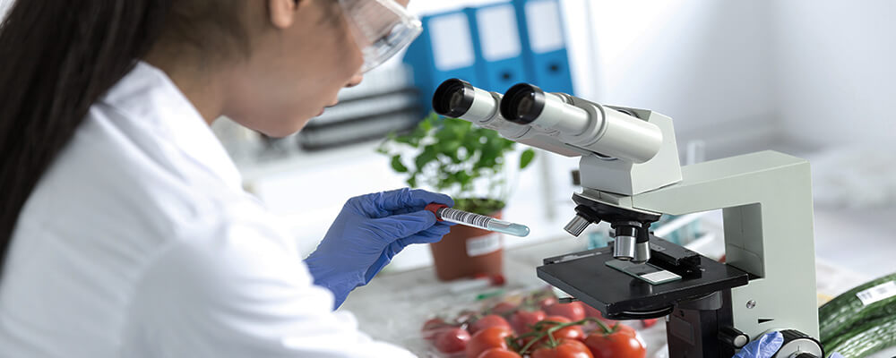 Food safety lab