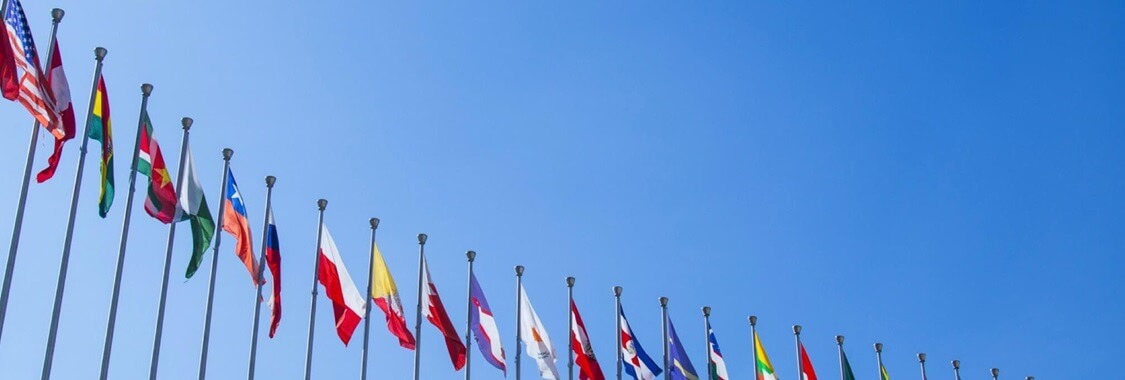 More than a dozen national flags of the world flying against a blue sky.
