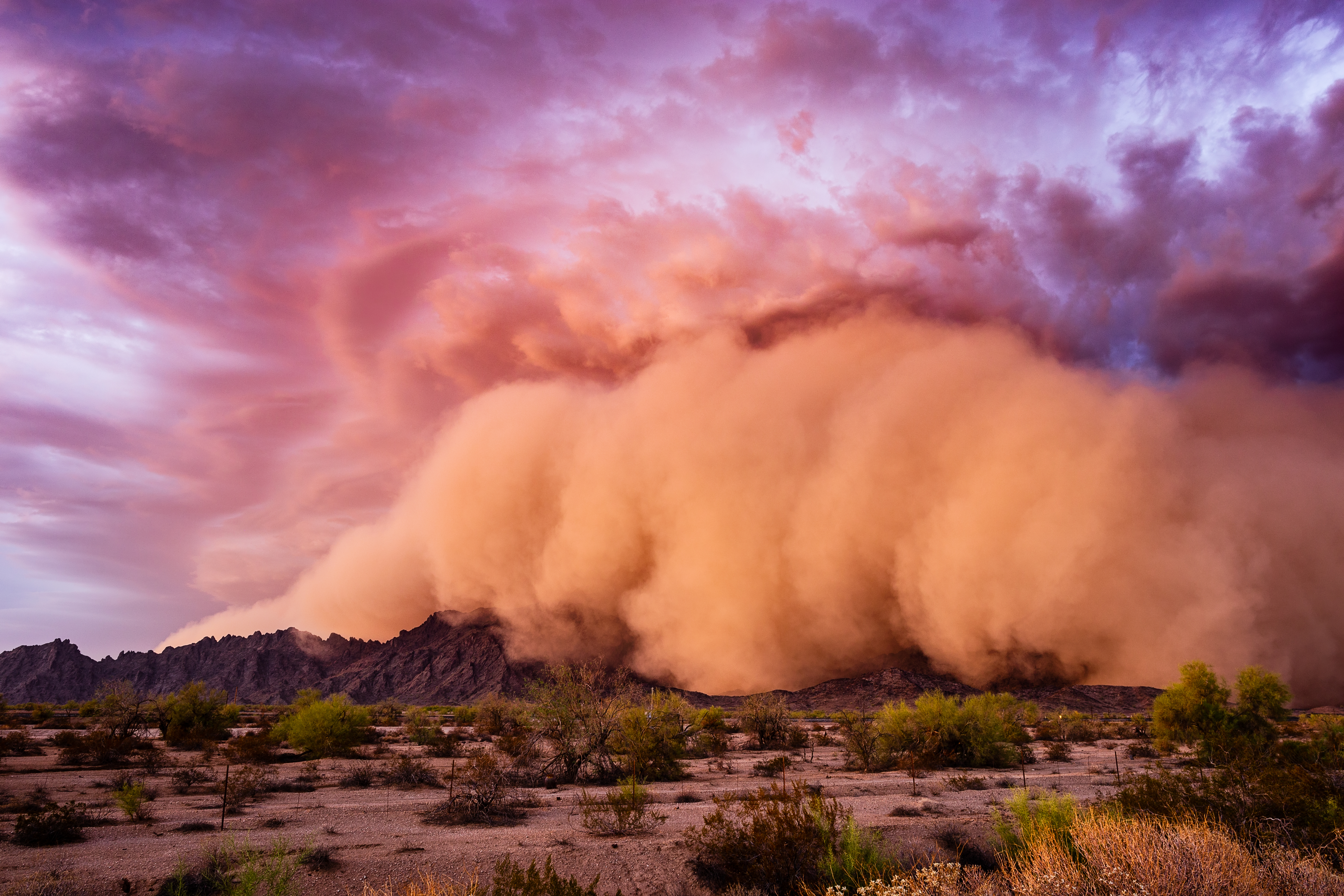 dust storms 