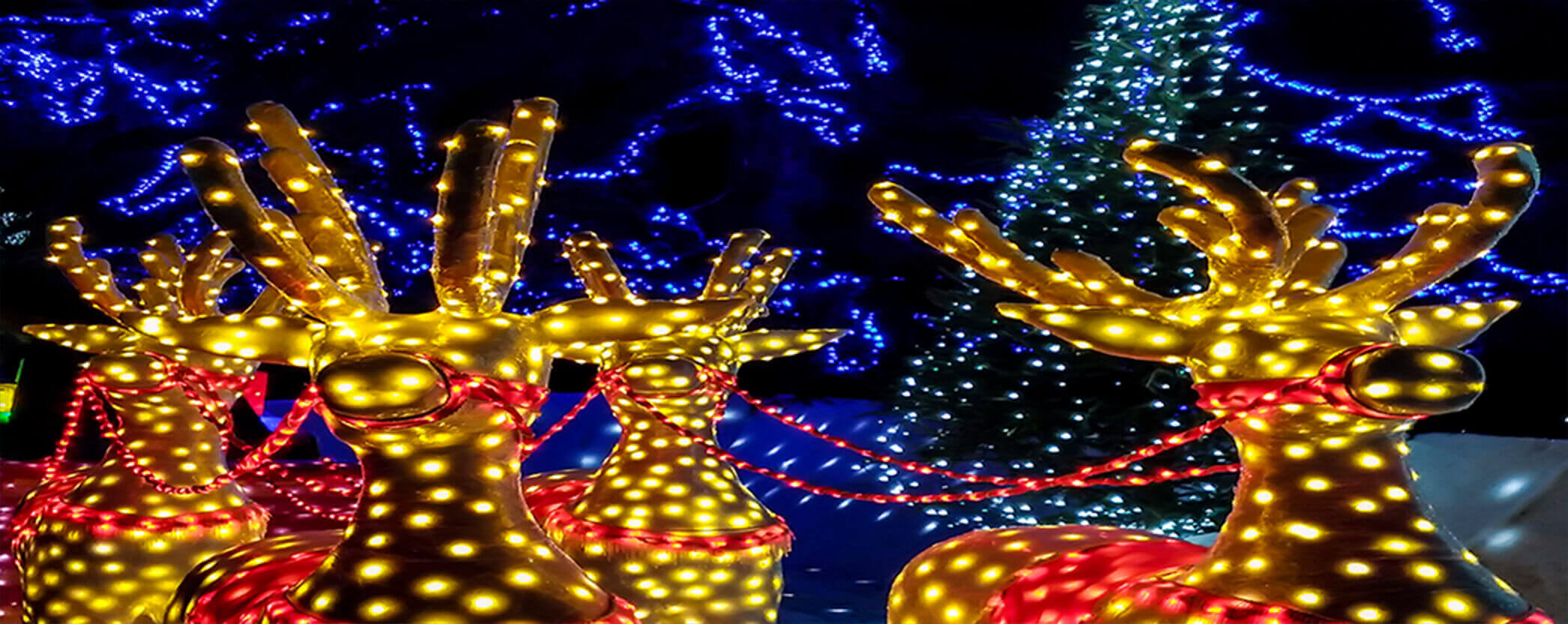 holiday display