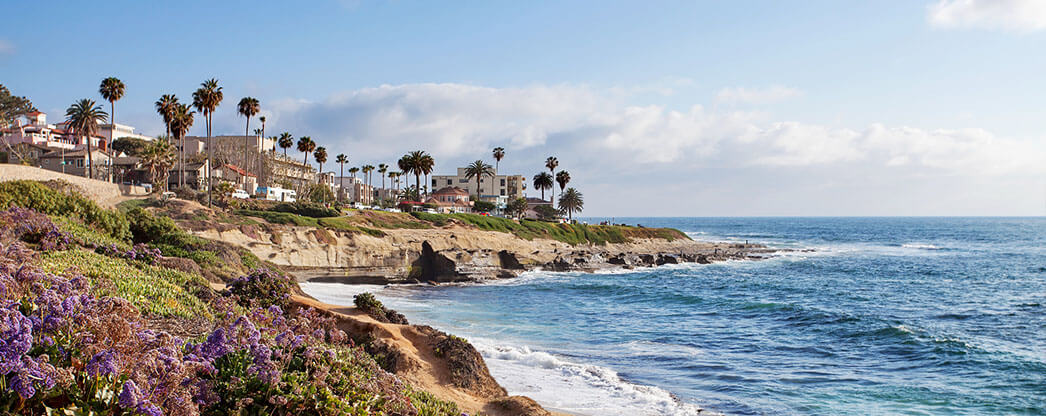 La Jolla landscape