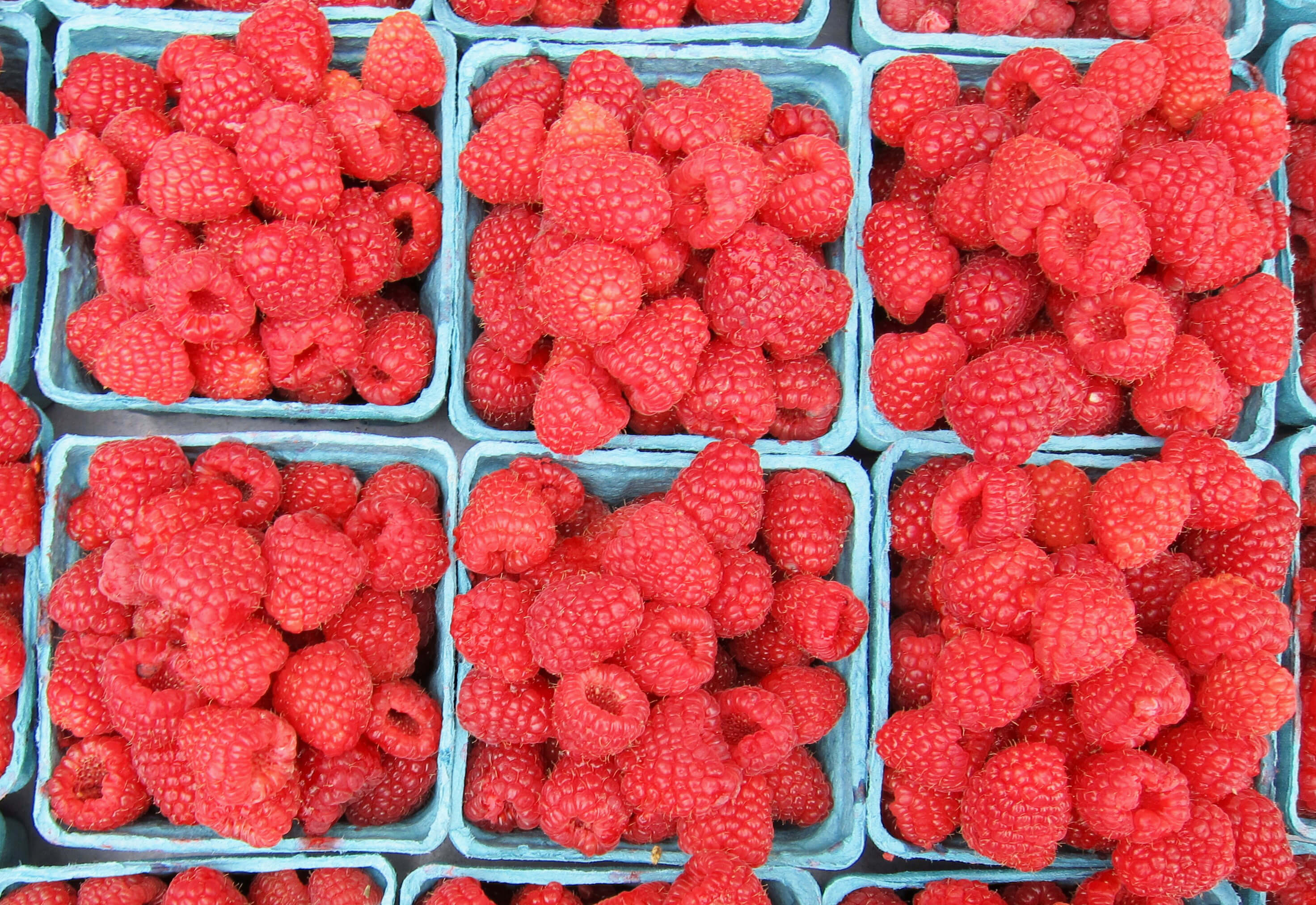 Cartons of fresh raspberries.