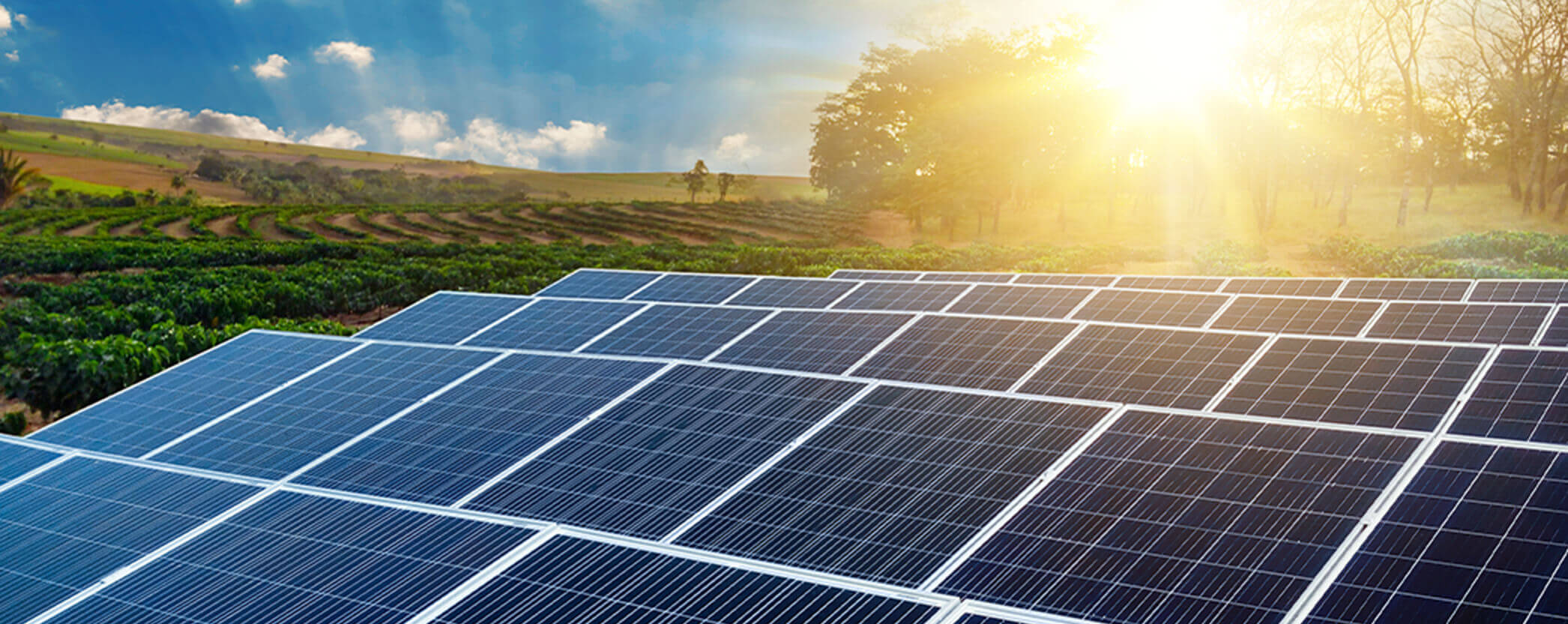 A field of photovoltaic solar panels.